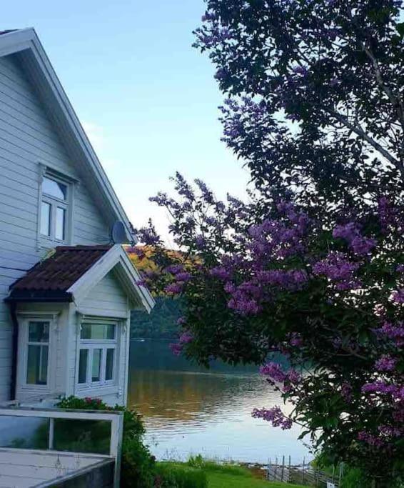 Kraemarvika Hébergement de vacances Tromsø